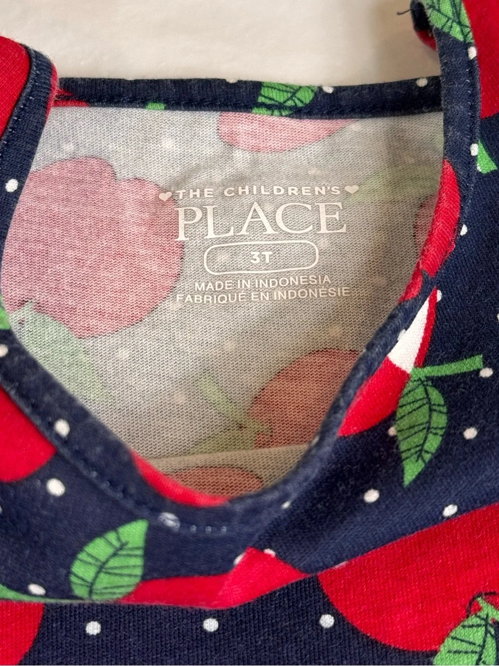 The Children's Place Navy Dress with Red Apple Print 3T